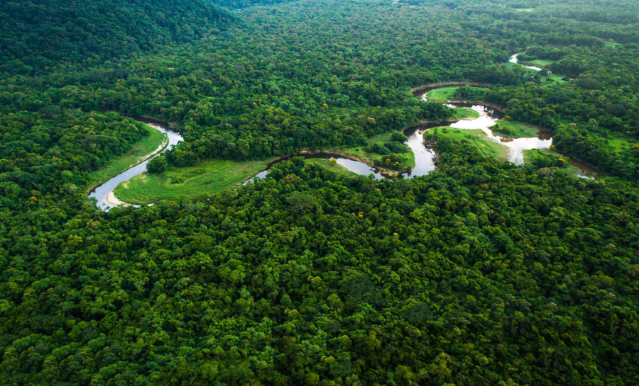 Sistema de governança do Acre reafirma legitimidade do poder público no acesso a fundos climáticos